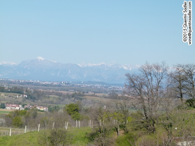 Vineyards in Collio, north of Isonzo.