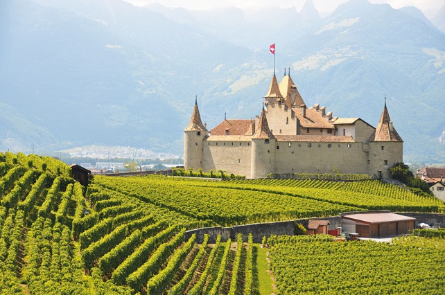 The stunning Chateau d'Aigle, where I went to work judging Chasselas wines.