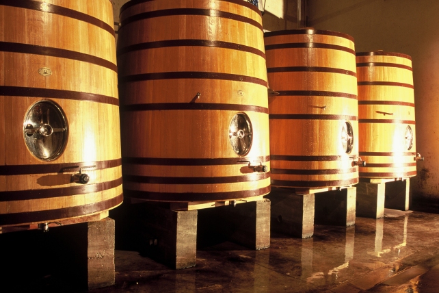 The fermentation vats at Domaine la Borie Blanche - photo courtesy of the winery.