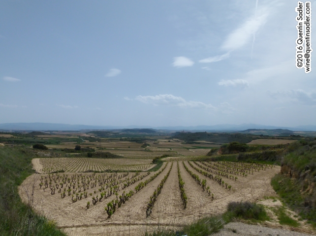 Vineyards near Haro in Rioja.